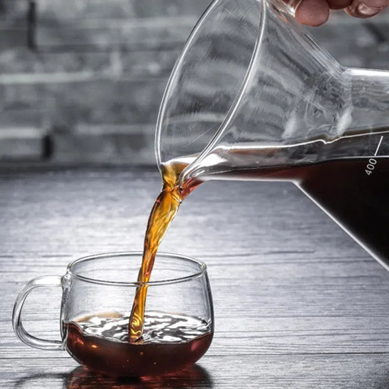 Cafeteira em Vidro de Borossilicato e Filtro em Inox - 400ml-Kasamô