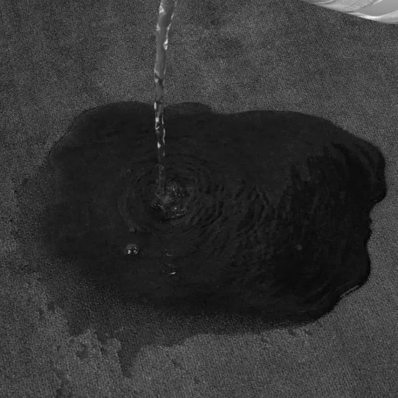 Tapete Antiderrapante de Veludo Coral Super Absorvente Kasamô-Kasamô