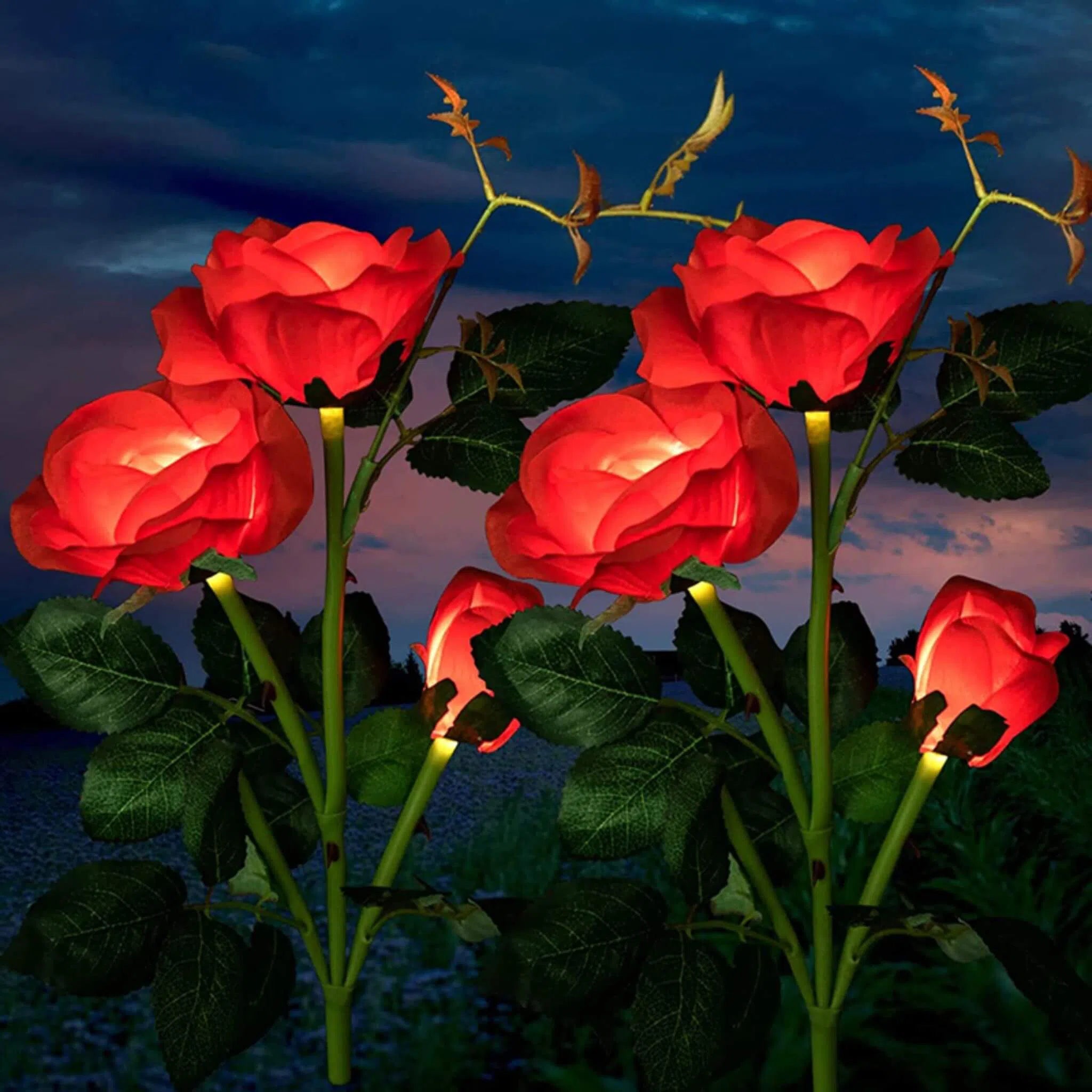 Rosas de Energia Solar - Kasalight - Decore seu Jardim-Kasamô